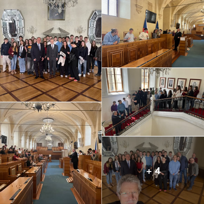 senat_26.png